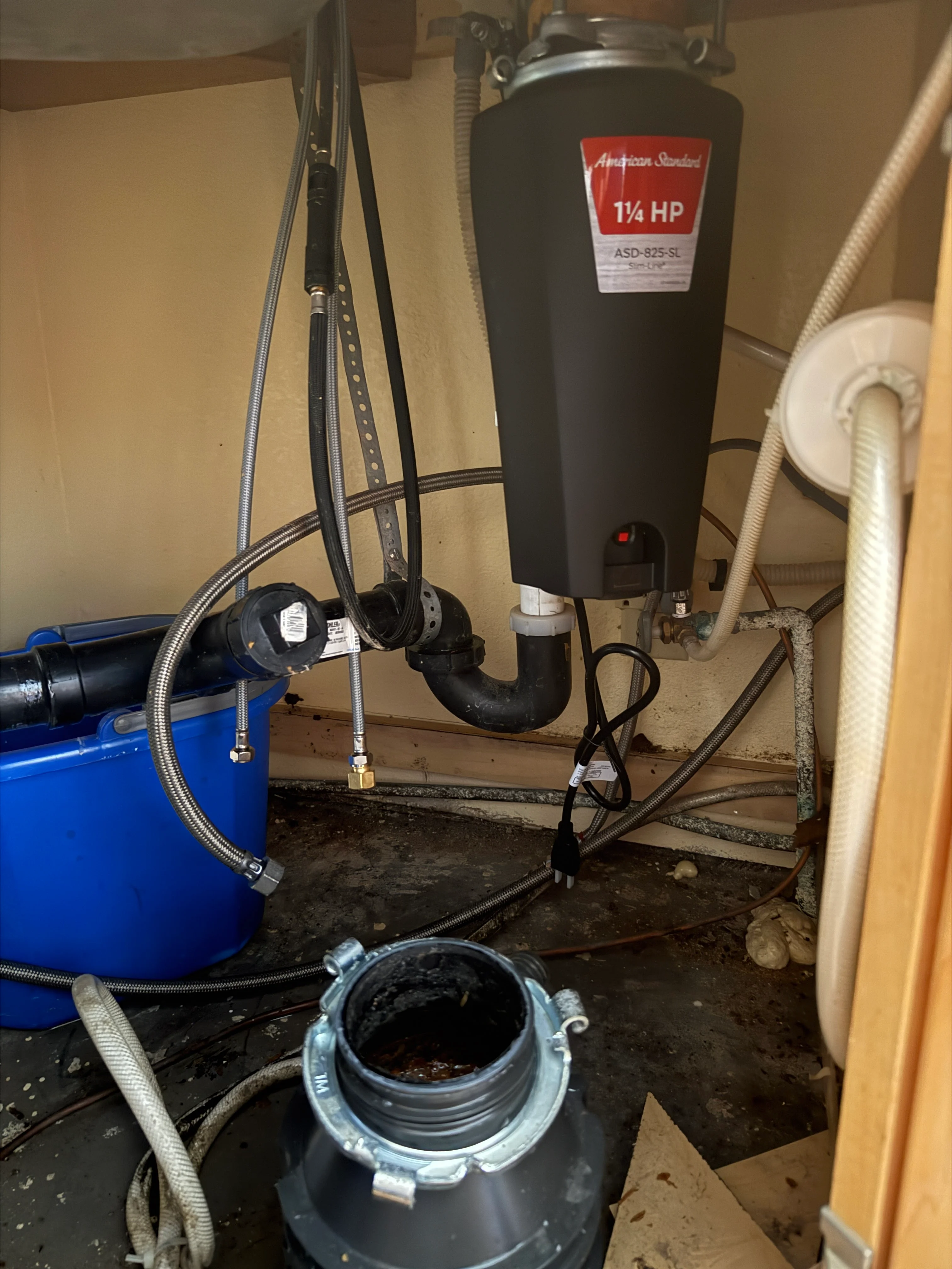 Garbage Disposal Replacement in Laguna Hills, CA (project photo)